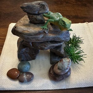 Jenni added a photo of their purchase