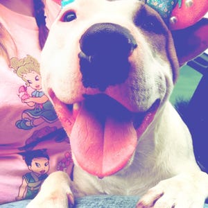 Rachel added a photo of their purchase