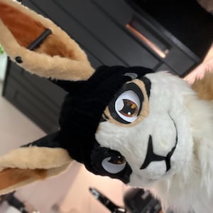 RJ adicionaram uma foto da sua compra