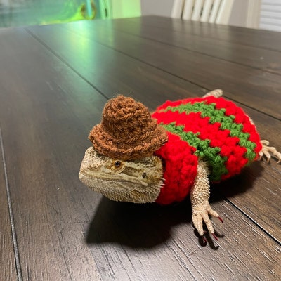 Crocheted Adult Freddy Krueger Bearded Dragon Costume Bearded Dragon ...
