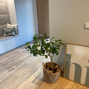 Manuela added a photo of their purchase