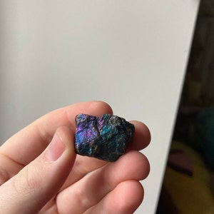 Elle added a photo of their purchase