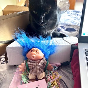 Lynn added a photo of their purchase
