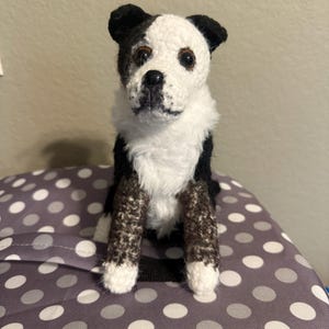 Diane added a photo of their purchase