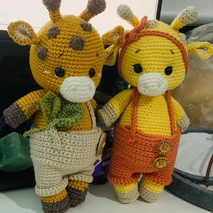 RaybyRay added a photo of their purchase