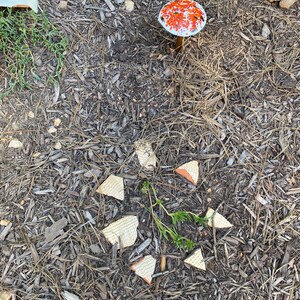 Janet added a photo of their purchase