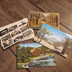 Marcia hat ein Foto des gekauften Artikels hinzugefügt