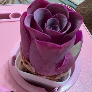 Ruth hat ein Foto des gekauften Artikels hinzugefügt