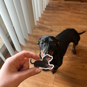 Hannah added a photo of their purchase