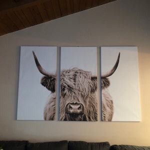 Rachelle added a photo of their purchase