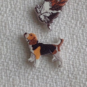 white crocs womens size 7