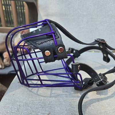 Champion XXL Strong Metal Wire Basket Dog Muzzle – Fits St. Bernard & Large Breeds