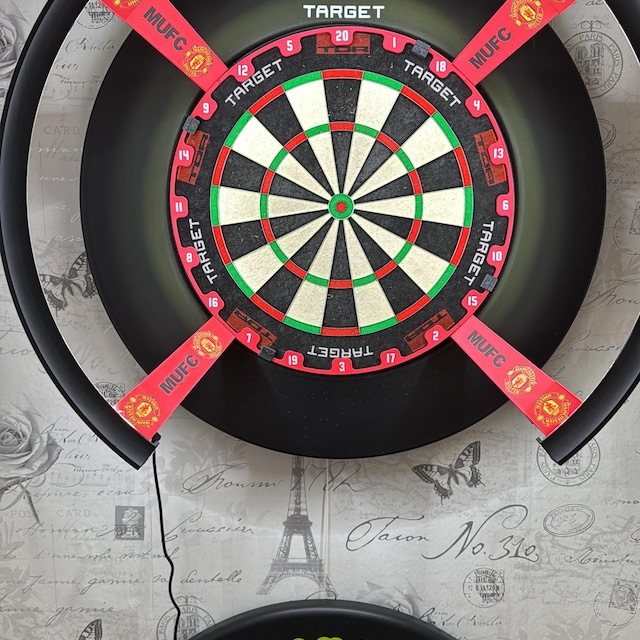 Dartboard Number Ring (target TOR Style) - UK Dartboard Number Ring (target TOR Style) - UK