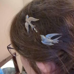 Annette added a photo of their purchase