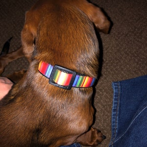 Kylee added a photo of their purchase