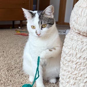 Becky heeft een foto van zijn/haar aankoop toegevoegd