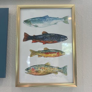 マスの水彩画アートプリント フライフィッシングのマスの絵画 カラフル
