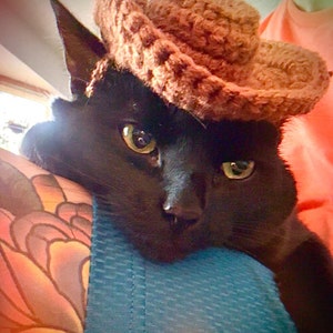 Kayla ha añadido una foto de su compra