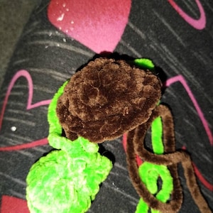 Lori ha aggiunto una foto del proprio acquisto