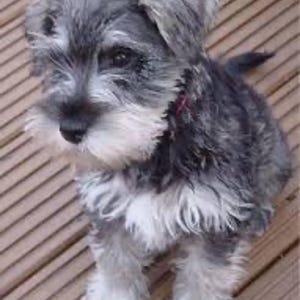 Reed ha añadido una foto de su compra