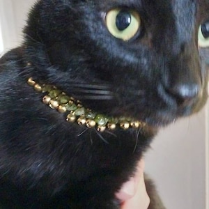 Loreena added a photo of their purchase