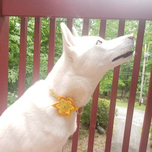 Gloria added a photo of their purchase
