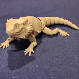 Amanda added a photo of their purchase
