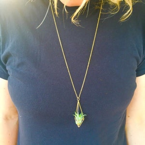 Hayley added a photo of their purchase