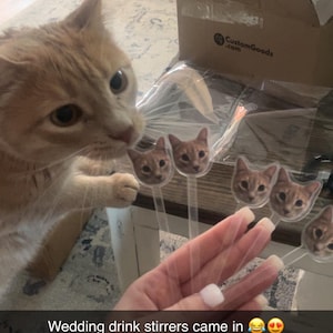Caroline added a photo of their purchase
