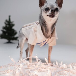 Guayabera For Dogs Clearance, 56% OFF 
