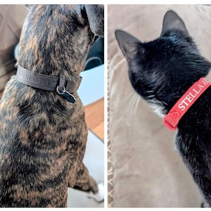 Brian added a photo of their purchase