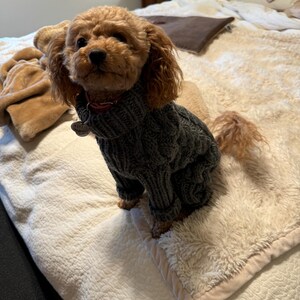 Hand Knit Dog Onesie: Yellow Cabled Wool Pet Sweater - Etsy