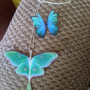 Beth added a photo of their purchase