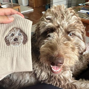 Brynne added a photo of their purchase