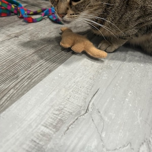 Sara ha aggiunto una foto del proprio acquisto
