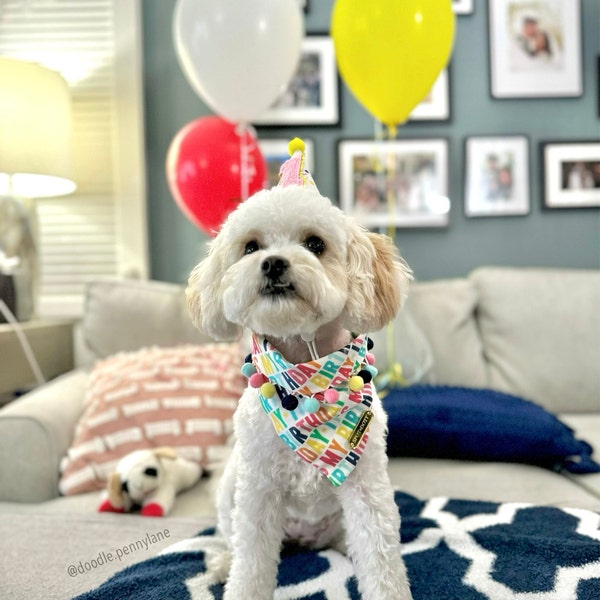 Puppachino Sprinkles Snap Closure Dog Bandana, Birthday Dog Bandana ...