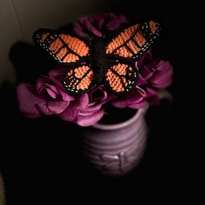 Amanda added a photo of their purchase