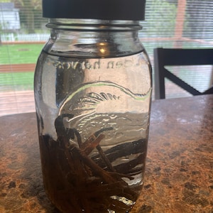Etsy buyer added a photo of their purchase
