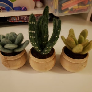 Michelle added a photo of their purchase