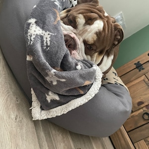 Kelly added a photo of their purchase