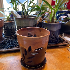 Shelley added a photo of their purchase