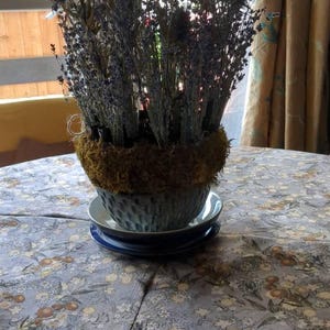 Audie added a photo of their purchase