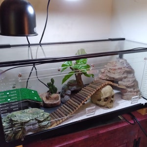 12x12x24 Arboreal Reptile Cage reptile | Etsy