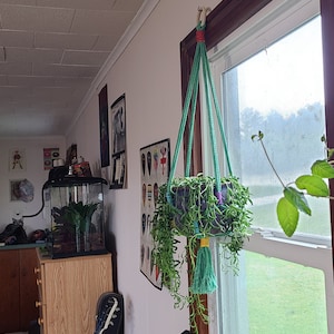 Allie dodał(a) zdjęcie swoich zakupów