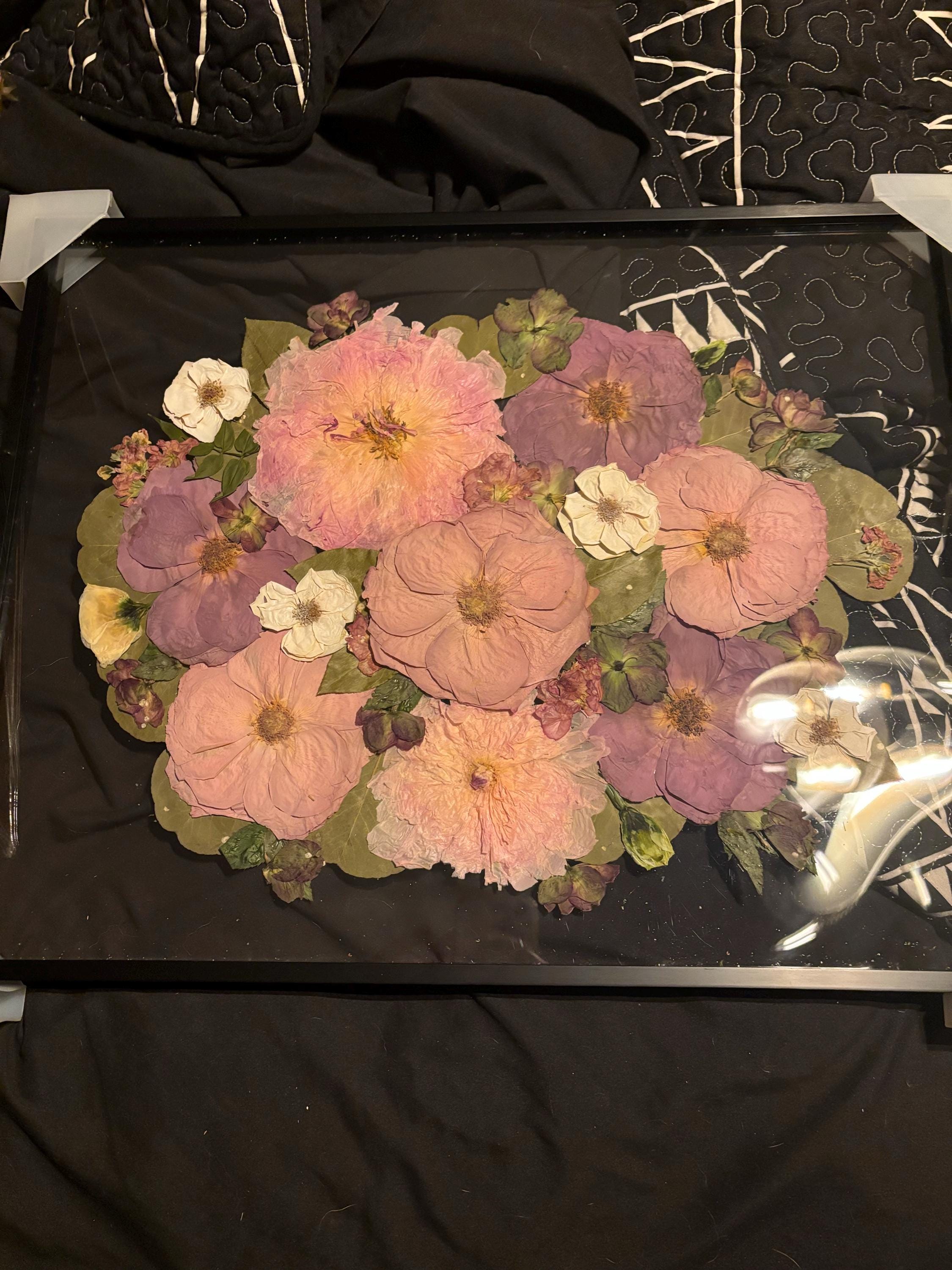 Preserved flowers from Layne's etsy review