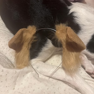 Sierra added a photo of their purchase
