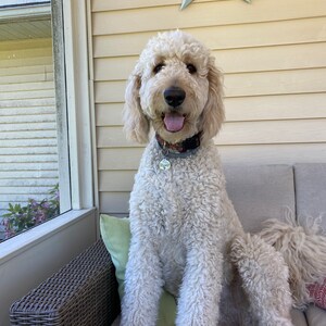 Sarah added a photo of their purchase