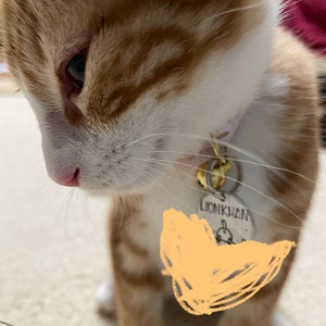 Julie added a photo of their purchase
