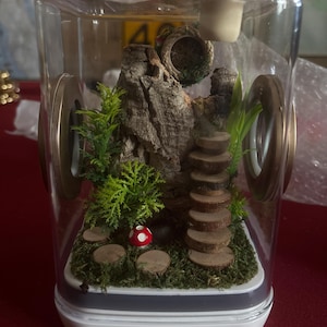 Amelia added a photo of their purchase