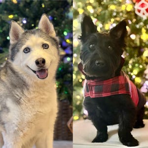 Mari added a photo of their purchase